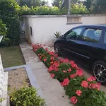 Oliva Daire Vodice