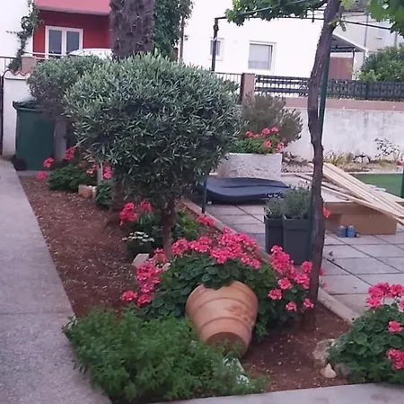 Oliva Vodice