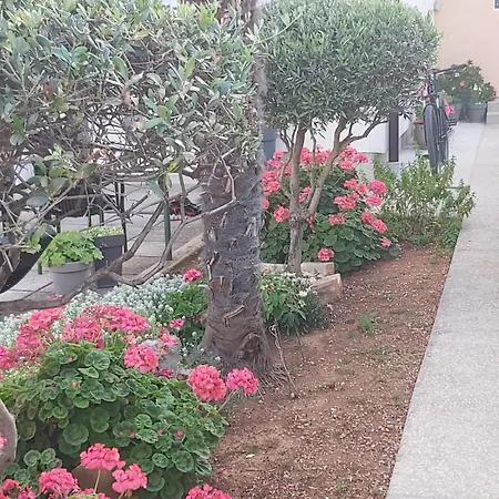 Apartment Oliva *