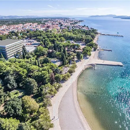 Oliva